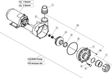 Gecko Flo-Master XP3 56-Frame Pump