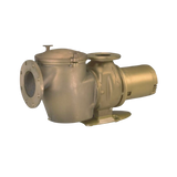 Commercial Pool Pumps