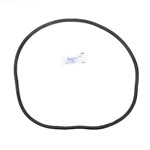 Pentair 273062 O-Ring – Ersatz Für Pool- & Spa-Pumpen Und Ventile, 2,5 Zoll, Dichtung