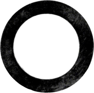 Pentair Gasket Drain Plug, 074629 (PUR-101-2758) Pentair Gasket Drain Plug, 074629 (PUR-101-2758)