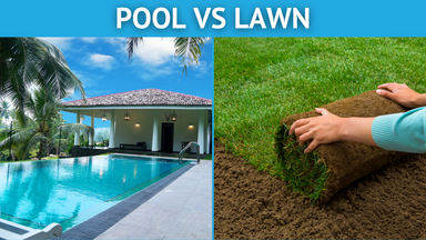 ​Pool vs. Lawn: The Greener Backyard Choice Will Surprise You!