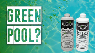 Green Pool – Gotta Be Algae…Right????