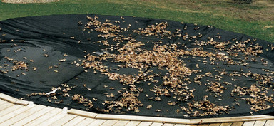 Above Ground Swimming Pool Leaf Net Covers