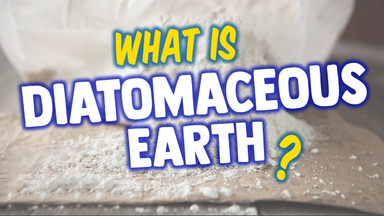 What is DE? (D.E. Diatomaceous Earth) 