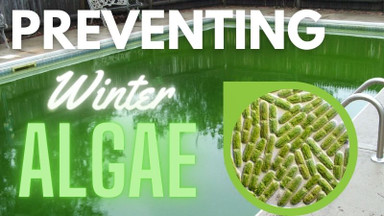 Winter Woes: Battling Algae in Your Pool with EZ Pool & Spa Supply