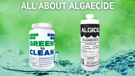 All About Algaecide