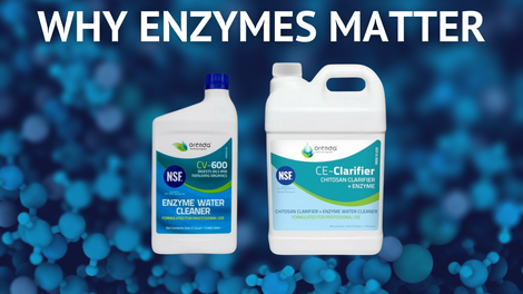 Chlorine Shortage: Why Enzymes Matter in Reducing Chlorine Use