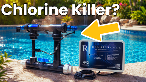 Elevate Your Pool With the Solaxx Renaissance