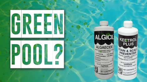 Green Pool – Gotta Be Algae…Right????
