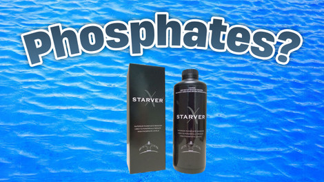 What are Phosphates in Swimming Pool Water?