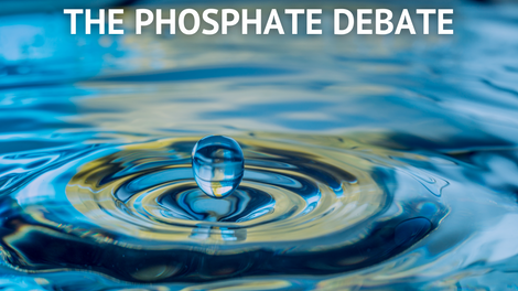 Phosphate Debate: Treat or not?