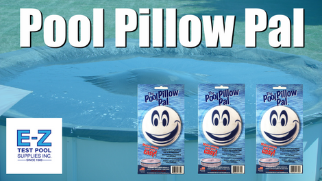 The Pool Pillow Pal