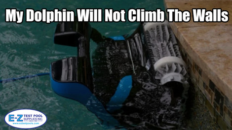 My Dolphin Will Not Climb The Walls