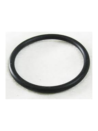 Pentair O-Ring, K12800 (KPY-201-7711)