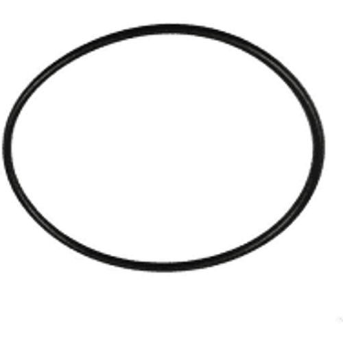 Zodiac O-Ring Pot Lid R0558800 (TLD-101-5043)