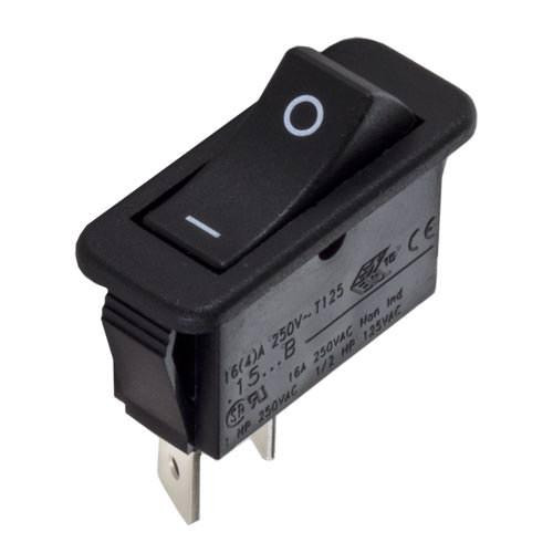 Raypak Rocker Switch, 009493F