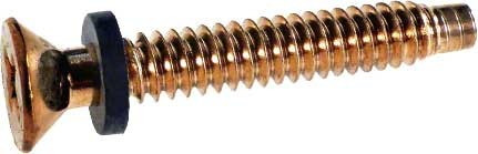 Pentair Pilot Screw With Gum Washer Brass, 79104800Z - EZ Pool