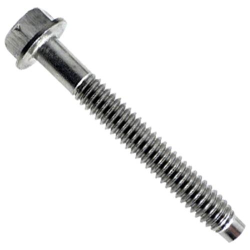 Pentair Bolt 1/4 x 2, 79112000 (AMP-301-1236)