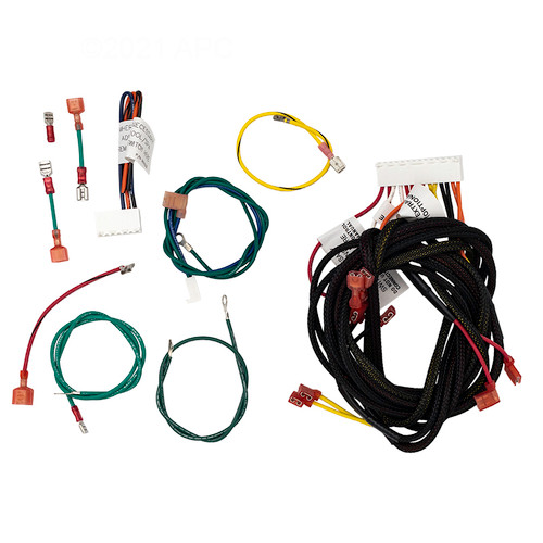 Raypak Wire Harness, 009490F