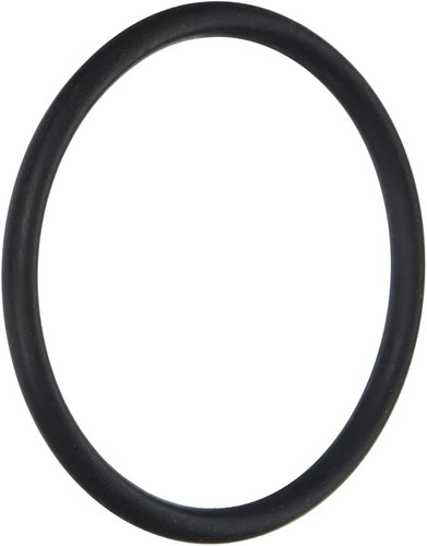 Pentair O-Ring For Hi-Lite, 79207100 (AMP-301-2668)