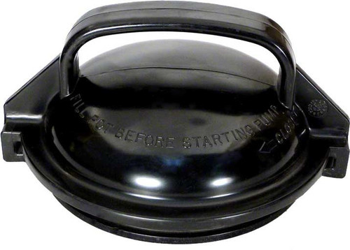 Pentair Dynamo Lid Smoke Color 354113 (PAC-101-7010)