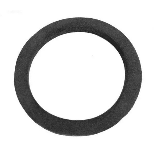 Pentair Gasket Bulkhead, 51021500 (AMP-051-1089)