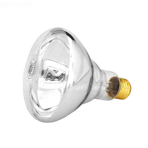 Hayward Bulb 100w/12v Medium Base, SPX0510A