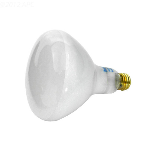 Hayward 400W 120V Medium Base Bulb, SPX0503Z5