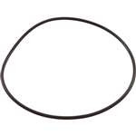 Waterway Supreme Pump O-Ring Face Plate Volute, 805-0001-SPL (WW8050001SPL)