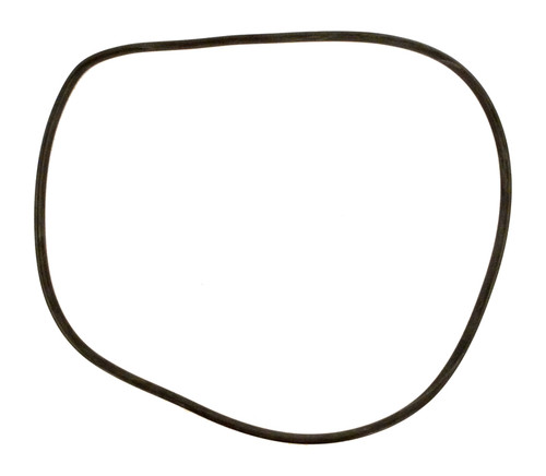 Jandy Filter Tank O-Ring, R0357800