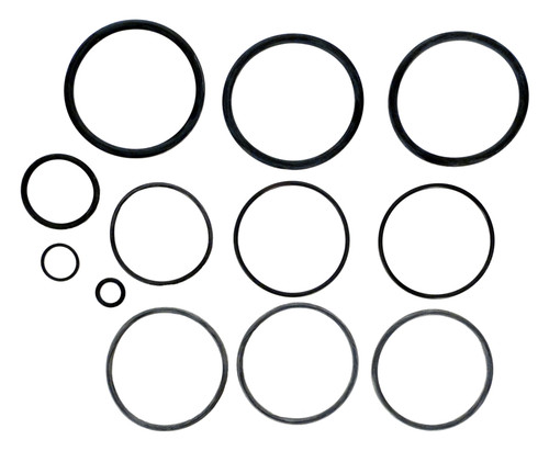 Jandy O-Ring Replacement Kit, R0358000