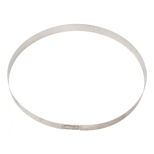 Jandy Retaining Ring for CV340/460/580 Filters, R0405200
