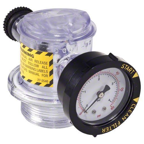  Pentair 8" x 12" x 3.75" Clear Body Manual Air Relief Assembly, 273564Z