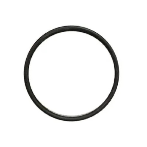 CMP 2″ O-Ring For 21048 Union, 26100-600-355 (SPG-561-0005)