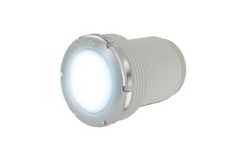  PAL Treo Mini Cool White Nicheless Pool and Spa Light Only, 64-EGTSMCW-01