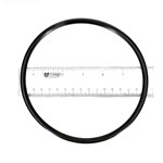 Pentair C-Series C-70 Flange O-Ring, 071423Z
