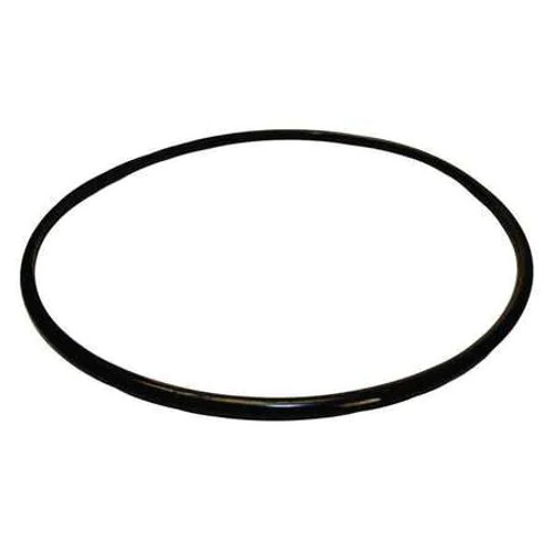 Pentair Sta-Rite Seal Plate O-Ring, U9-373 (STA-101-2768)