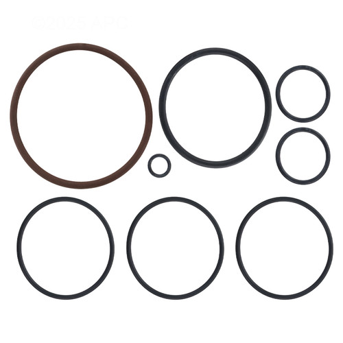 Zodiac O-Ring Kit for Nature2 Fusion Soft Mineral Sanitizer, R0502500