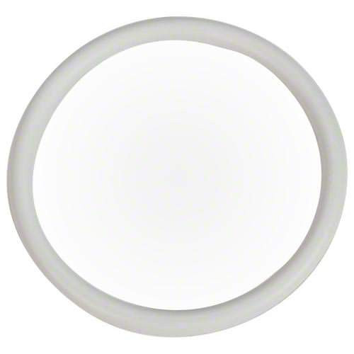 Pentair White 3/16" x 2 5/8" ID Air Relief O-Ring, 274495Z