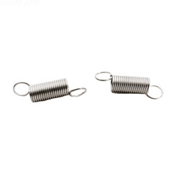 Pentair Swing Axle Spring Replacement, Pack of 2, EC25 (LET-201-2718)