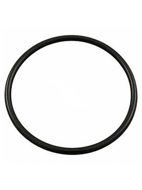 Hayward O-Ring End Connector, SPX0728H (HAY-561-8999)