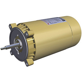 はる Hayward Threaded Shaft Motor 0.5 HP, 115 V, 60 HZ, SPX1600Z1M - EZ