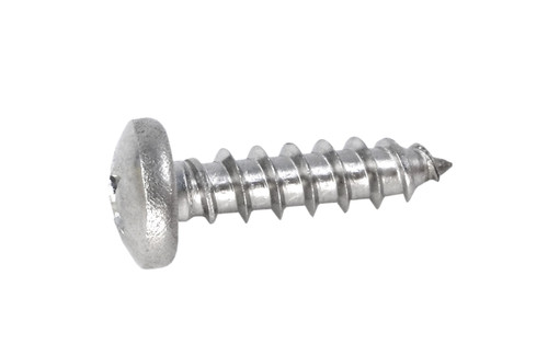 Pentair #10 Self Tapping Screw, 154716