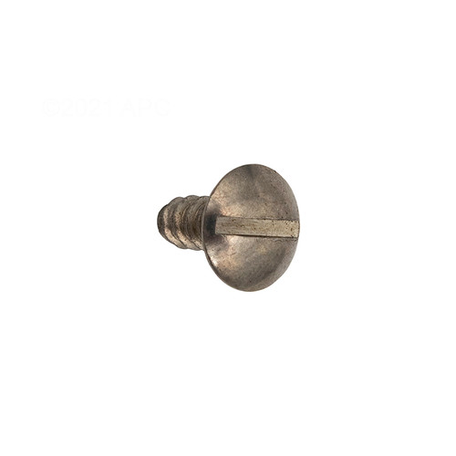 Hayward Cover Screw, ECX1019