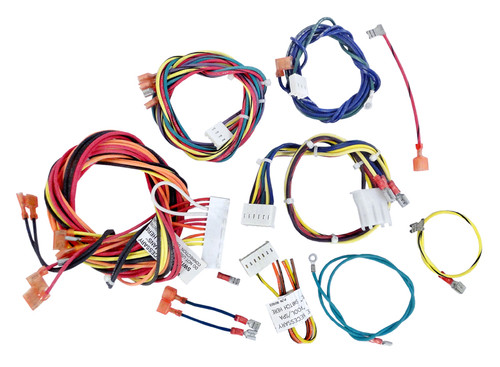 Raypak Capron Heater IID Wire Harness, 006738F