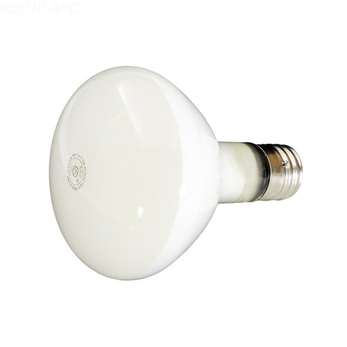 Hayward Light Bulb - 500 Watts 120 Volts - Medium Base Flood R-40 (1958-1970), SPX0504Z4