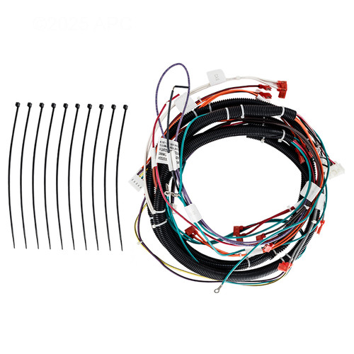 Raypak Harness Assembly Cabinet Kit, 100-10004827