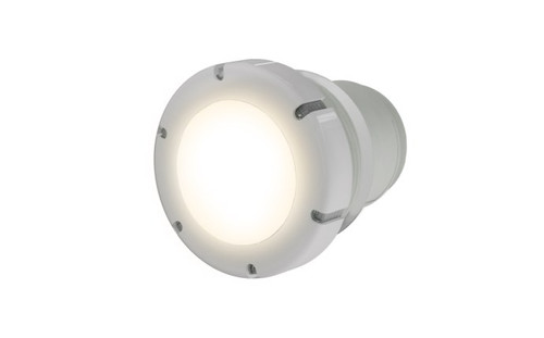 PAL Treo Retro Warm White Concrete Nicheless Pool and Spa Light Only, 64-EGTV2WW-01