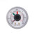 Hayward 1/4" Pressure Gauge 0-60 PSI With Dial, ECX2712B1