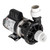 Gecko Alliance Circ-Master CMHP Side Discharge 48 Frame Recirculation Pump, 1/12 HP, 1-Speed, 230 V, 02093001-2010